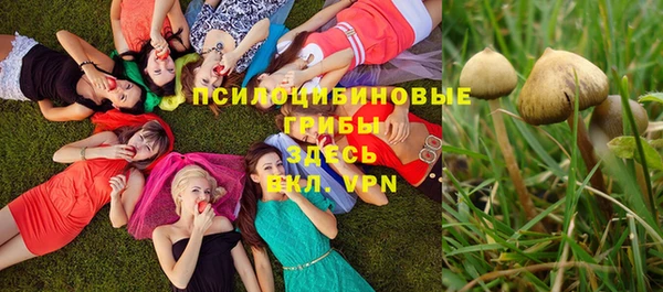 дмт Арсеньев