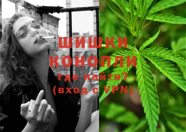 каннабис Аркадак