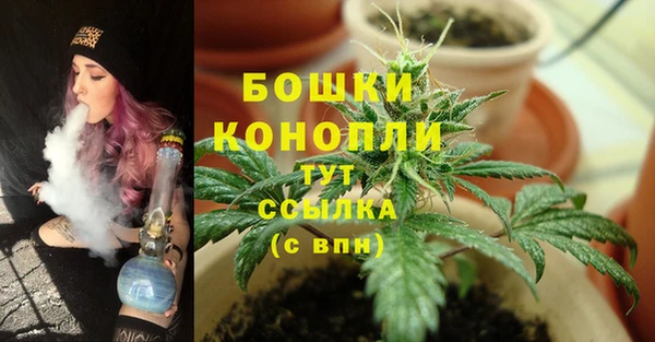 дмт Арсеньев