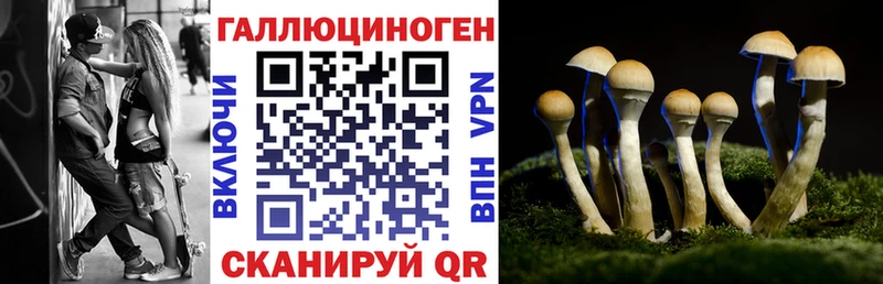 Галлюциногенные грибы Cubensis  купить наркотики цена  Сосновка 